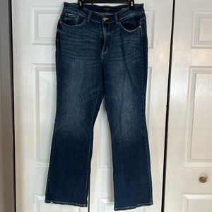 NICE Judy Blue boot cut 14w